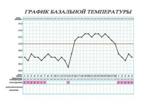 Менструация на 20 день цикла
