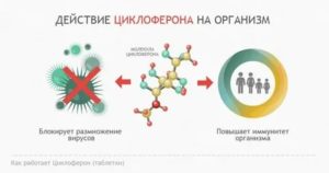 Влияние циклоферона на анализ мочи