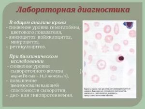 Пойкилоцитоз в анализ крови у ребенка