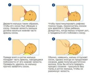 Как правильно бросить кормить ребенка грудью