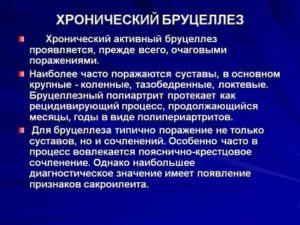 Хронический Брюцеллез