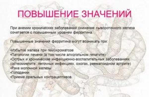 Высокий ферритин