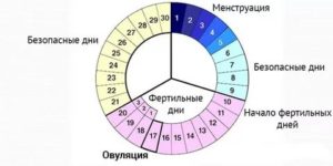 Менструация через 14 дней