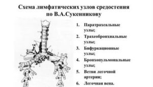 Увеличение бронхопульмонального лимфоузла