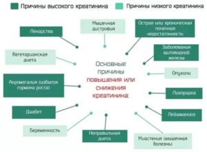 Повышен креатинин