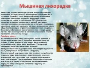 Мышиная лихорадка