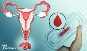 Задержка менструации, секс во время месячных