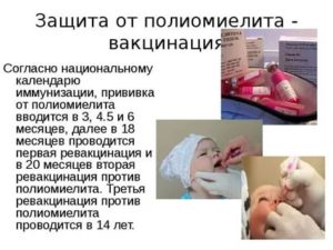 Прививка кпп и живой полимиелит ребёнку и беременность. Мамы