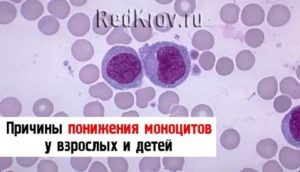 Понижены моноциты