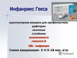 Вакцинация Инфанрикс Гекса после полной вакцинации от гепатита