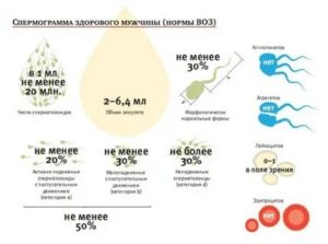 Плохая спермограмма, чем лечить чтобы произошло зачатие