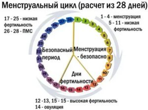 Какой день месячных считать первым?