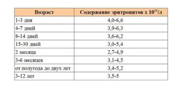Немного повышены эритроциты у ребенка