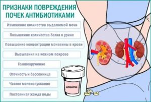 Боль в почках при приеме антибиотика