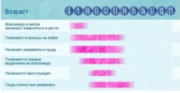 Когда начнутся месячные?