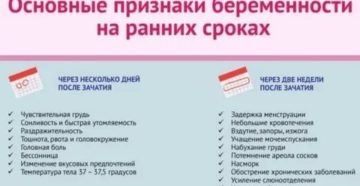 Беременность на ранних сроках