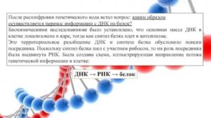 Генетическая тройка расшифровка