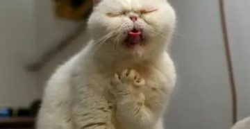 Попали не те капли Попали не те капли