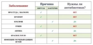 Простуда во время приема антибиотиков