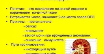 Воспаление хронического пиелоцистита Воспаление хронического пиелоцистита