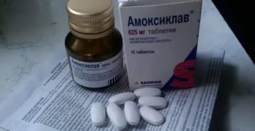 Зачатие после амоксиклава