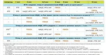 График прививок, гепатит и инфанрикс гекса