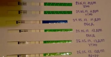 Болит грудь и низ живота за 12 дней до месячных