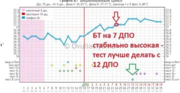 Высокая температура на 8-9 день после овуляции