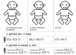 Какая в норме температура у шести месячного ребенка?