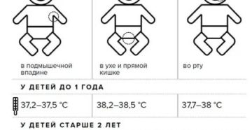 Какая в норме температура у шести месячного ребенка?