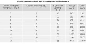 Замедленный рост хгч, нет плодного яйца