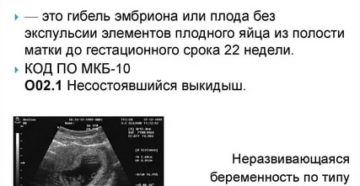 Неразвивающаяся маточная беременность по типу анэмбрионии