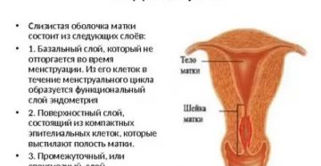 Не растет эндометрий