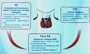 Узел в щетовидной железе и низкий ттг