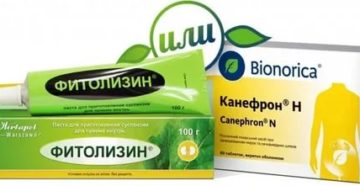 Можно ли при цистите одновременно пить толокнянку и фитолизин