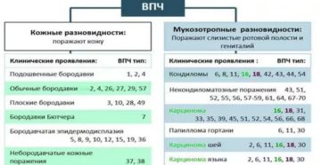 Что такое hpv52