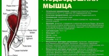 Спазм пояснично подвздошной мыщцы