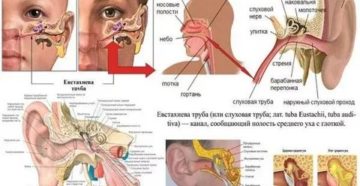 Промывала нос вода попала в ухо Промывала нос вода попала в ухо