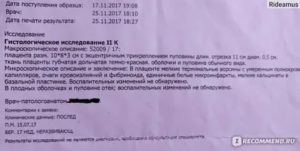 Расшифровка гистологического исследования плода