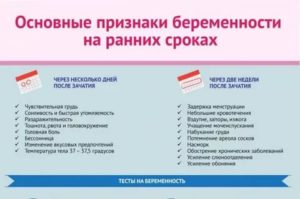 Как понять что беременность протекает нормально?