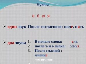 Корень члена твердый, как будто разделен на две части