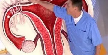 Как забеременеть без двух маточных труб?