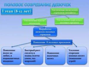 Половое созревание девочек