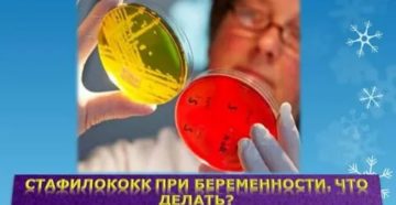 Стафилококк при беременности