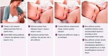 Как правильно бросить кормить ребенка грудью