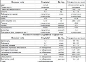 Эритроциты в моче при беременности