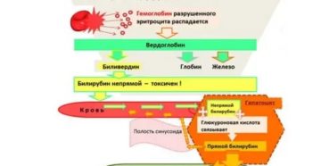 Повышено железо и билирубин