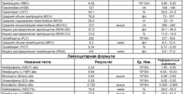Что означают результаты анализа?