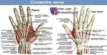 Болит внешняя сторона кисти