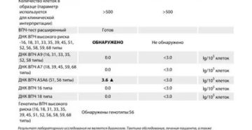 Расшифровка анализов на ВПЧ